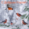 89157424763 аватар